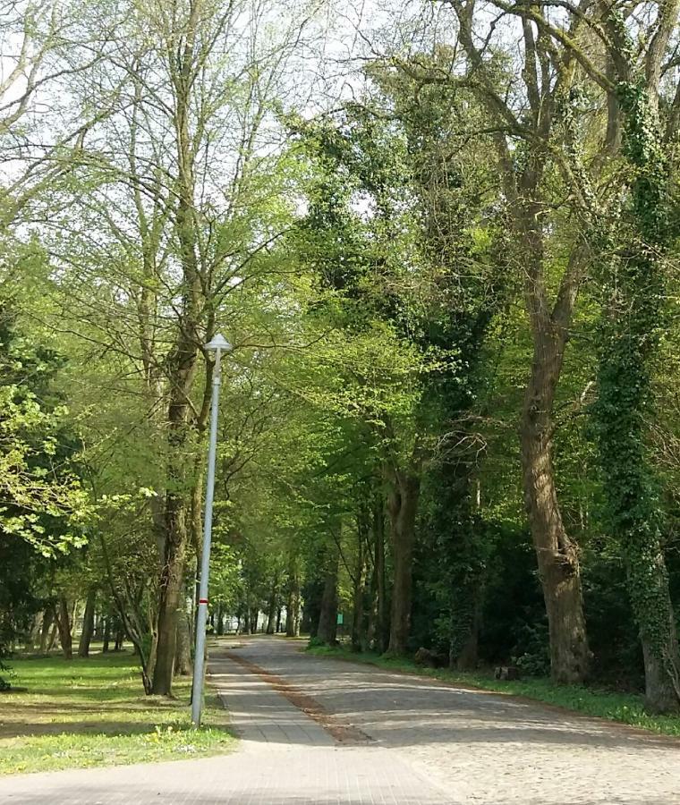 Ferienwohnung "Am Schlosspark" Neetzow 外观 照片