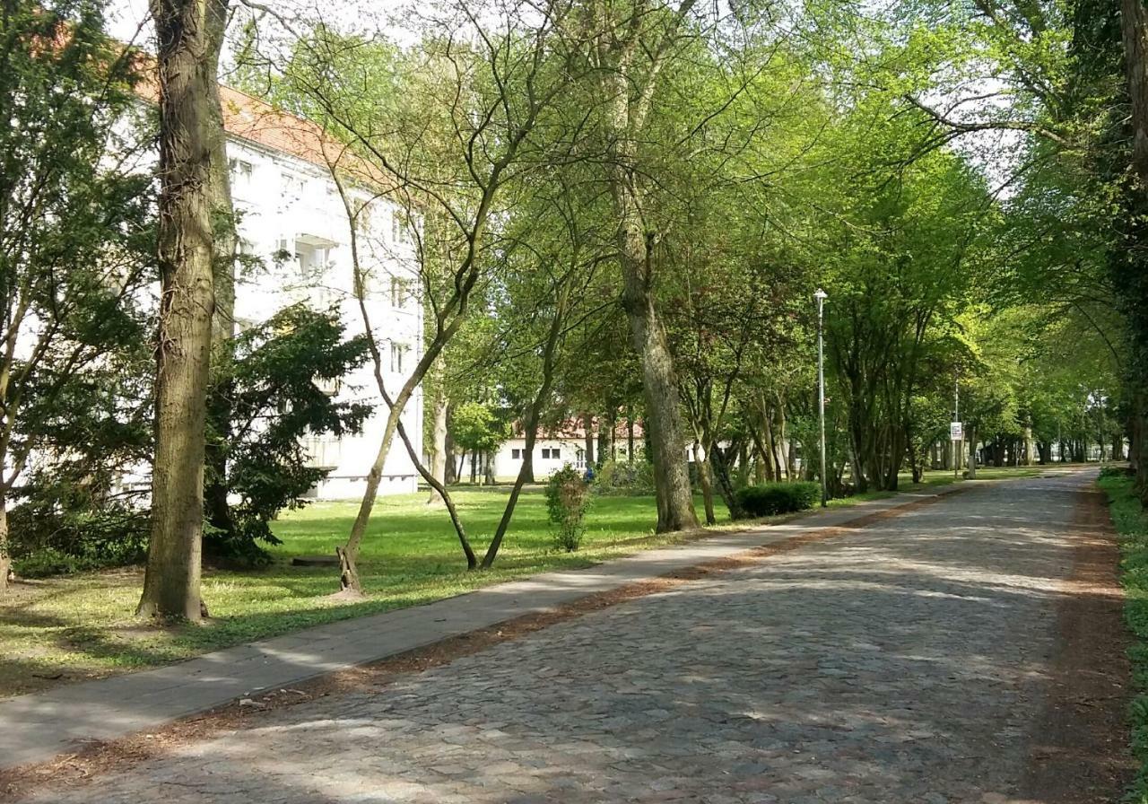 Ferienwohnung "Am Schlosspark" Neetzow 外观 照片
